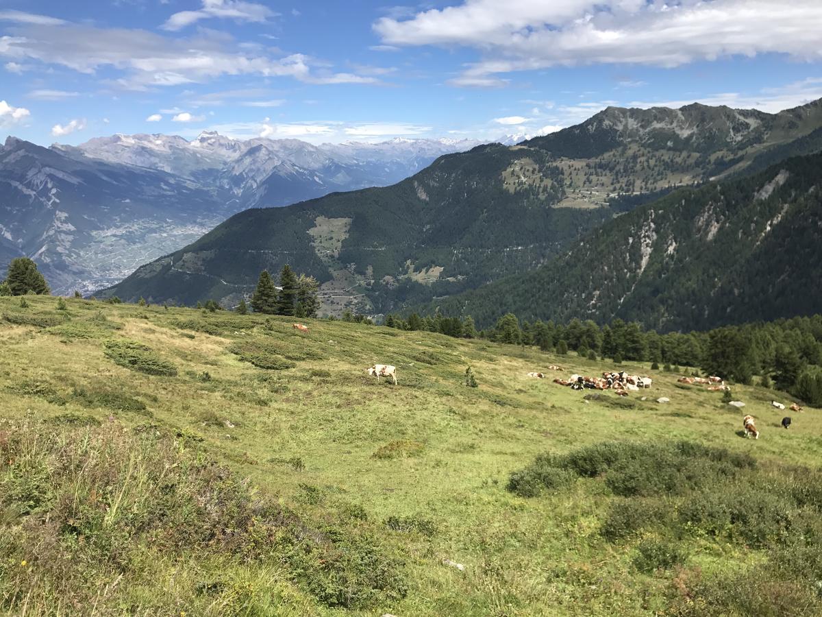 Chalet Clochette 4 Valles-Verbier Ла-Тзума Экстерьер фото